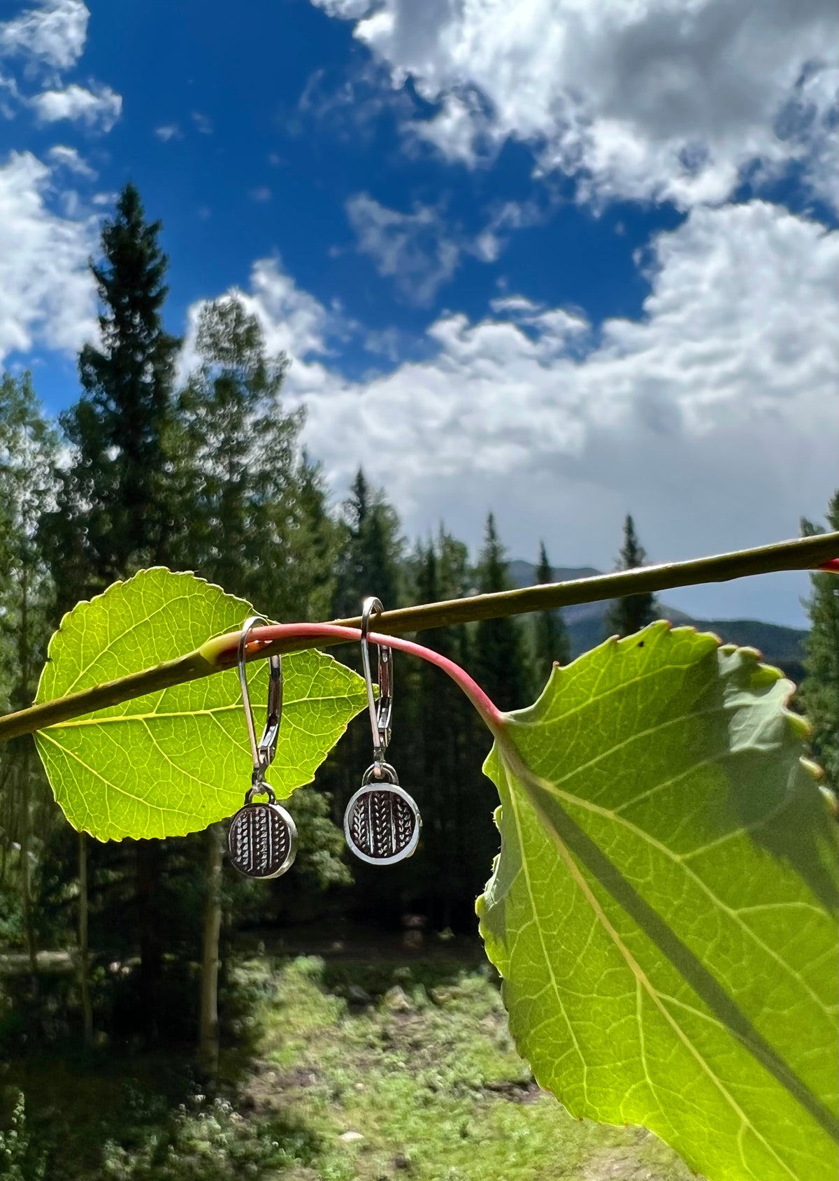 Small Sweater Drop Lever Back Earrings – lifestyle shot of handcrafted sterling silver sweater-texture disc earrings hanging on aspen branch with Colorado mountain forest and blue sky background